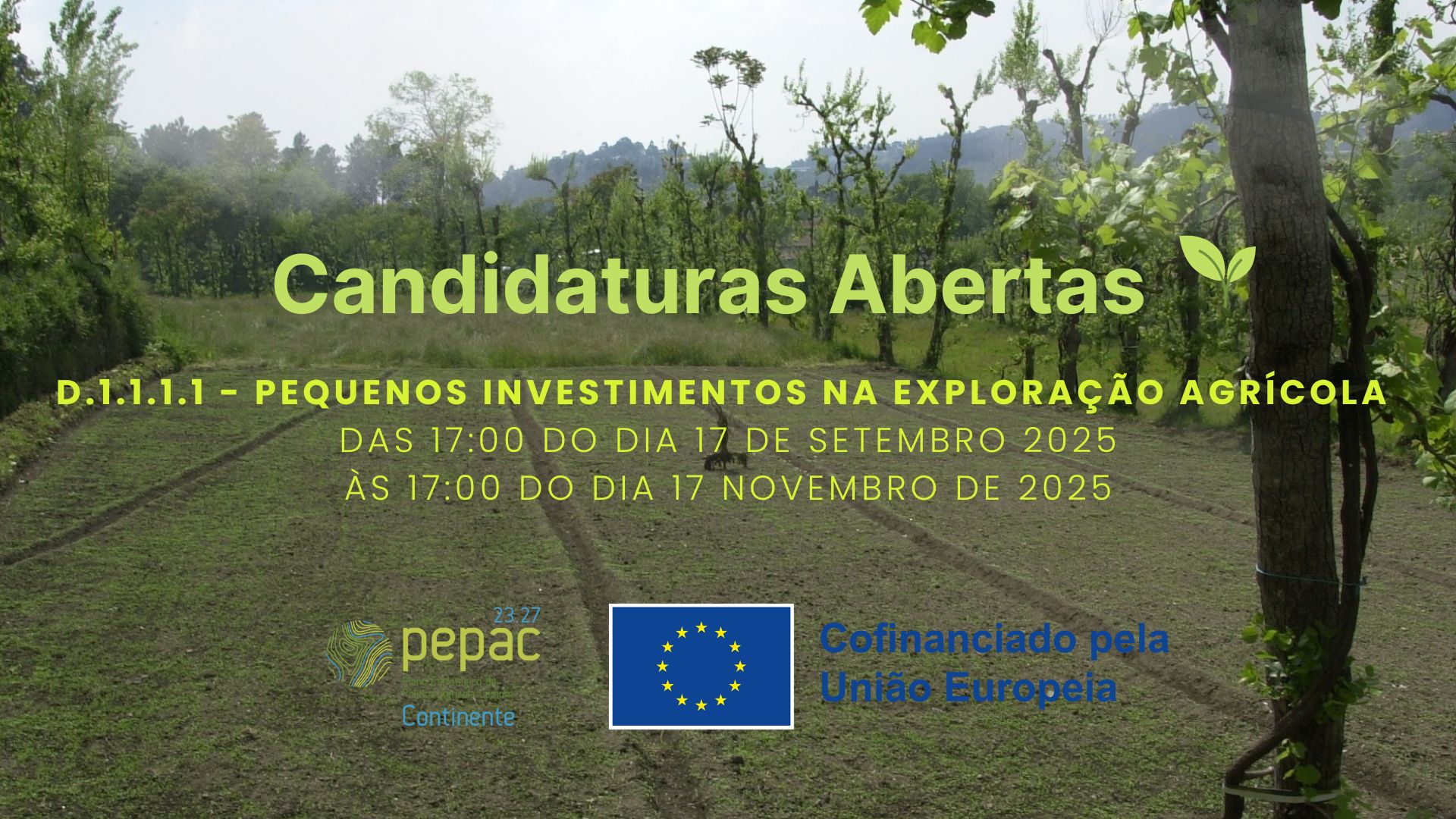banner pepac v2