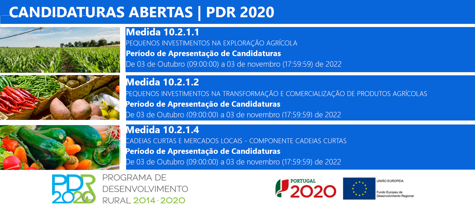 candidaturas pdr